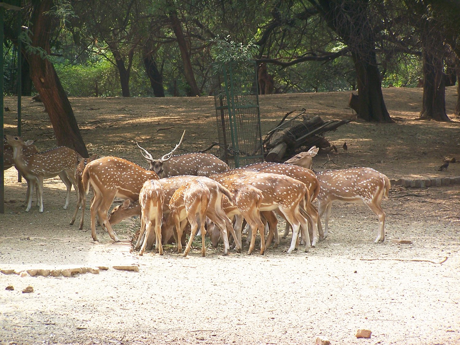 places to visit in sarnath